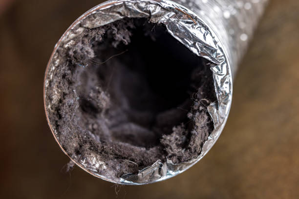 Best Dryer Vent Cleaning Services  in Glen Burnie, MD