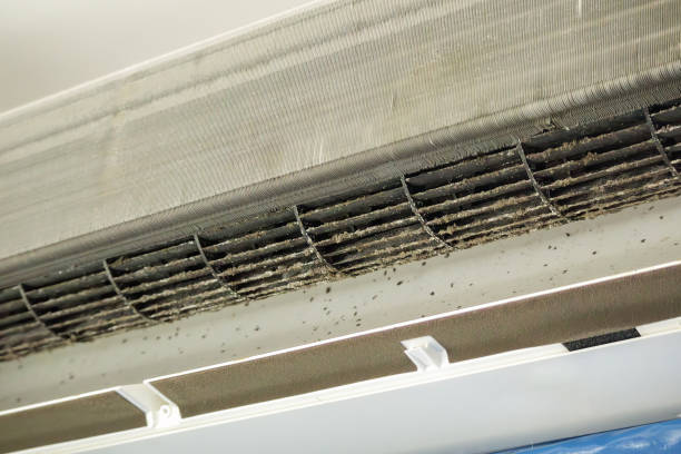 Best Affordable Duct Cleaning Services  in Glen Burnie, MD